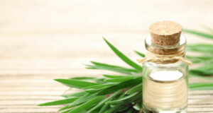 Attention aux huiles essentielles d’arbre à thé, de niaouli et de cajeput