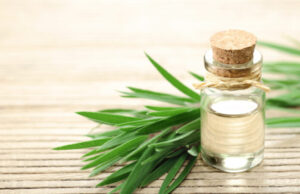 Attention aux huiles essentielles d’arbre à thé, de niaouli et de cajeput