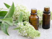 Anti-stress : top 3 des plantes apaisantes