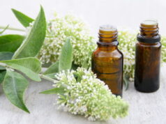 Anti-stress : top 3 des plantes apaisantes