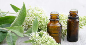 Anti-stress : top 3 des plantes apaisantes