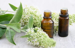 Anti-stress : top 3 des plantes apaisantes