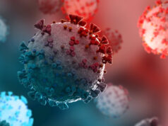 Covid : un nouveau variant échappe à l’immunité