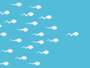 Spermatozoïdes : la fertilité masculine a baissé de 51,6% en 45 ans