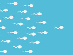 Spermatozoïdes : la fertilité masculine a baissé de 51,6% en 45 ans
