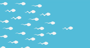 Spermatozoïdes : la fertilité masculine a baissé de 51,6% en 45 ans