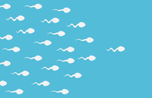 Spermatozoïdes : la fertilité masculine a baissé de 51,6% en 45 ans