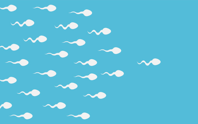 Spermatozoïdes : la fertilité masculine a baissé de 51,6% en 45 ans