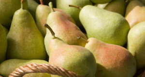 Les bienfaits de la poire