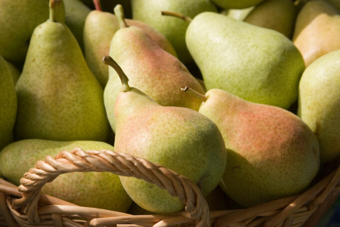 Les bienfaits de la poire