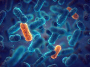 Quelles sont les bactéries les plus meurtrières ?