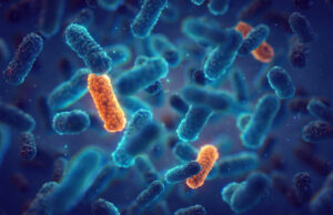 Quelles sont les bactéries les plus meurtrières ?