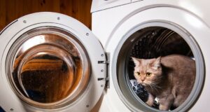 5 choses à ne jamais mettre à la machine
