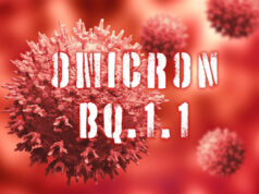 Nouveau variant BQ1.1 : est-il à l’origine de la 9e vague?