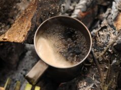 Nutrition : le café aux champignons pour booster l’immunité