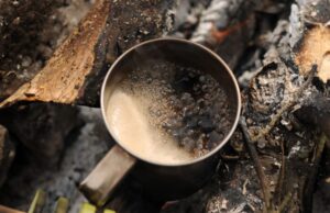 Nutrition : le café aux champignons pour booster l’immunité