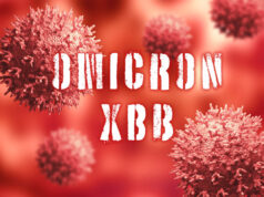 Covid-19 : ce que l’on sait du nouveau variant Omicron XBB.1.5
