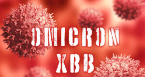Covid-19 : ce que l’on sait du nouveau variant Omicron XBB.1.5