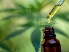 Fleur de chanvre : le CBD est autorisé à la vente