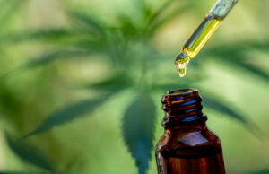 Fleur de chanvre : le CBD est autorisé à la vente