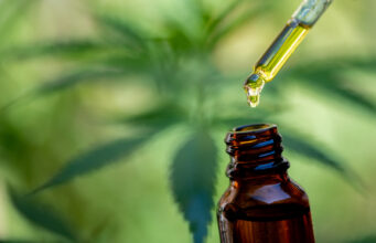 Fleur de chanvre : le CBD est autorisé à la vente