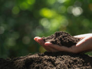 Après la mort, le compostage humain ?