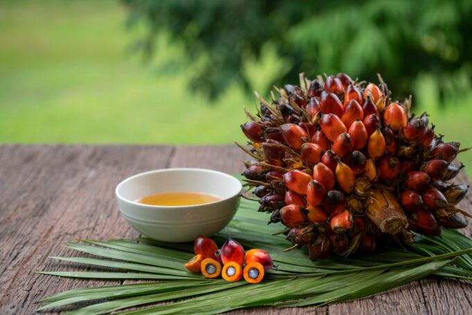 L’huile de palme est-elle vraiment dangereuse pour la santé ?