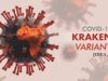 Covid : quel est ce nouveau variant nommé Kraken ?