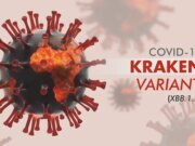 Covid : quel est ce nouveau variant nommé Kraken ?