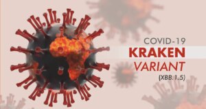 Covid : quel est ce nouveau variant nommé Kraken ?