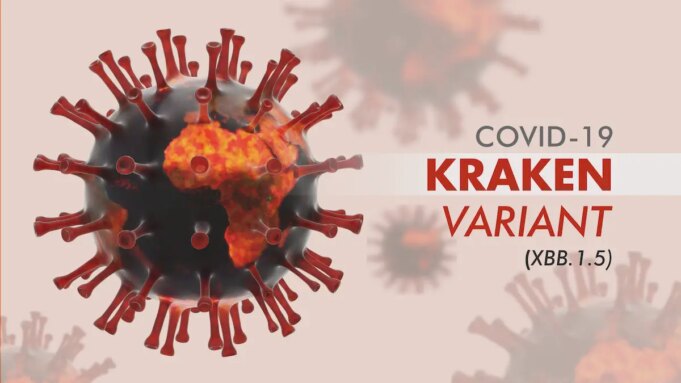 Covid : quel est ce nouveau variant nommé Kraken ?
