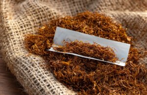 Cigarettes roulées ou cigarettes industrielles : lesquels sont les plus dangereuses ?