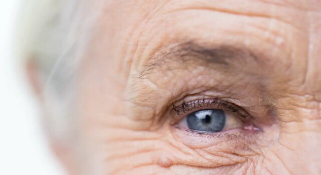 Serez-vous centenaire ?