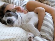 Dormir avec son chat ou son chien : est-ce une bonne idée ?