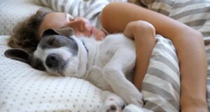 Dormir avec son chat ou son chien : est-ce une bonne idée ?