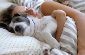 Dormir avec son chat ou son chien : est-ce une bonne idée ?