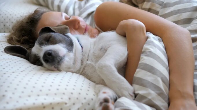 Dormir avec son chat ou son chien : est-ce une bonne idée ?
