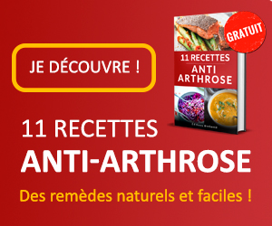 11 recettes