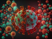 Covid : niveau d’alerte maximal maintenu par l’OMS