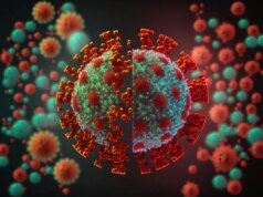 Covid : niveau d’alerte maximal maintenu par l’OMS