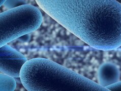Probiotiques : qu’est-ce que c’est et ou en trouver ?