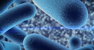 Probiotiques : qu’est-ce que c’est et ou en trouver ?