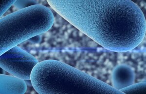 Probiotiques : qu’est-ce que c’est et ou en trouver ?