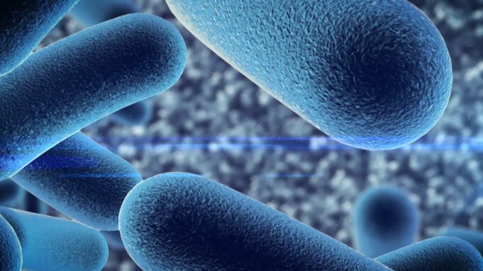 Probiotiques : qu’est-ce que c’est et ou en trouver ?