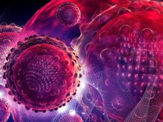 HCirV-1 : Quel est ce nouveau virus qui attaque le foie ?