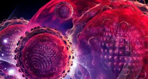 HCirV-1 : Quel est ce nouveau virus qui attaque le foie ?