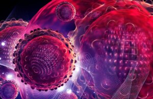 HCirV-1 : Quel est ce nouveau virus qui attaque le foie ?