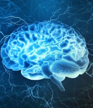 Cocaïne : Quels sont les effets sur le cerveau ?