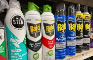 Attention, certains répulsifs sont dangereux pour votre santé