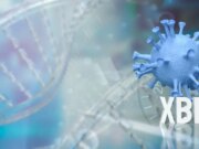 Covid : rebond épidémique à cause d’un nouveau variant